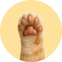 Animaux